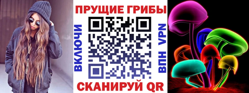 Псилоцибиновые грибы прущие грибы  Поворино 